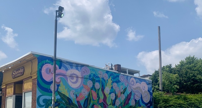 Mural on Comm Ave in Brighton, MA