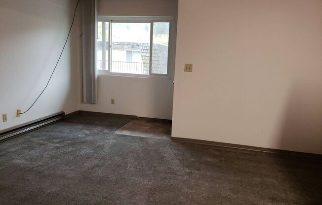 1 bed, 1 bath, 420 sqft, $585, Unit 82732
