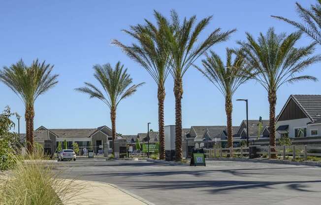 a street with palm trees in a subdivision with houses