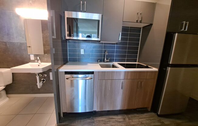 Studio, 1 bath, 231 sqft, $1,260, Unit 213