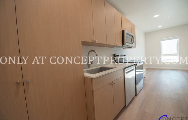 Studio, 1 bath, 300 sqft, $1,399, Unit 1-223