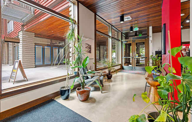 Lobbu with a lot of green plants and a blue rug.