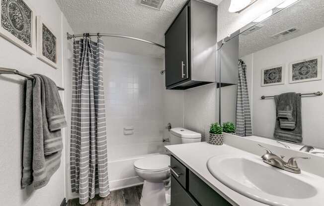 a bathroom with a sink and a toilet and a shower