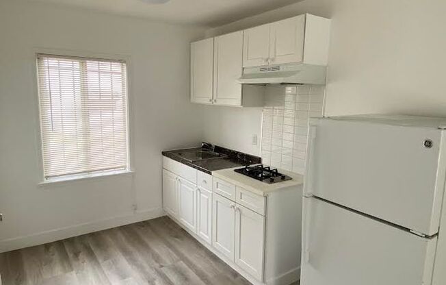 Studio, 1 bath, 255 sqft, $1,200, Unit 113