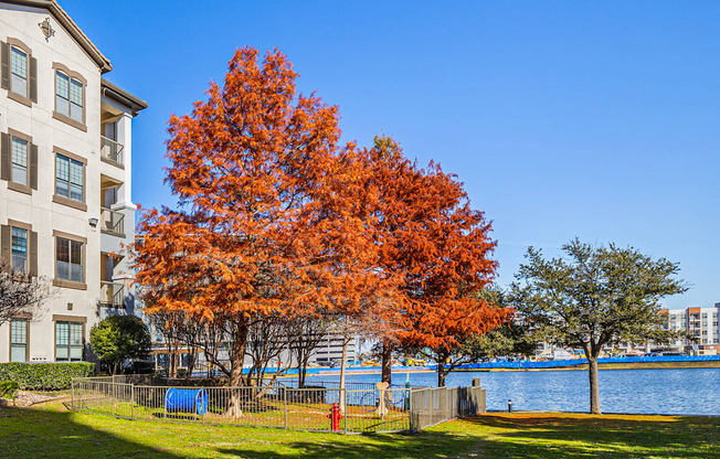 Dog park - Monterra Las Colinas Apartments