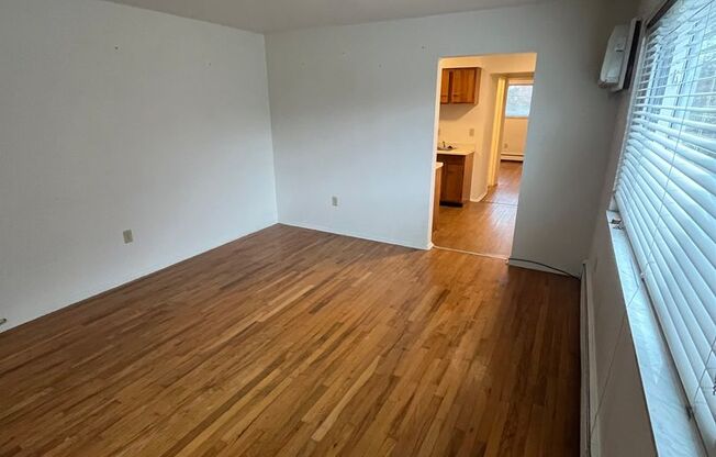 1 bed, 1 bath, $950, Unit 1