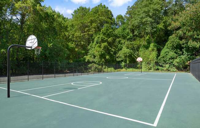 A basketball court surrounded by trees.