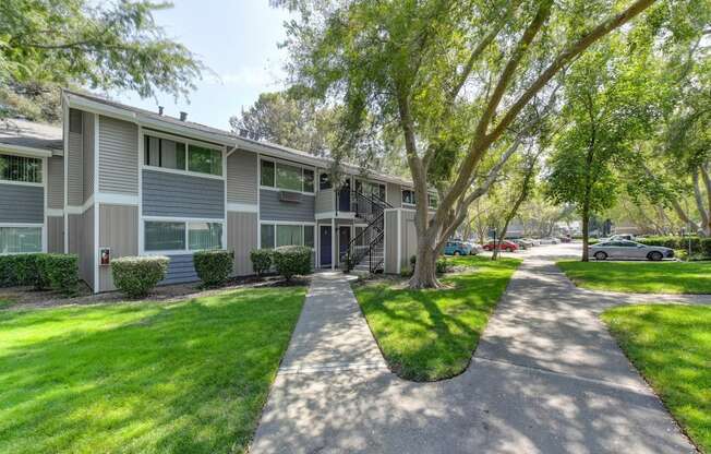 Apartment Grounds Exterior with Walking Paths, Grass and Trees at Pinecrest Apartments, California, 95616