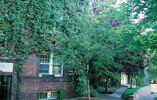 Studio, 1 bath, 475 sqft, $829, Unit 207