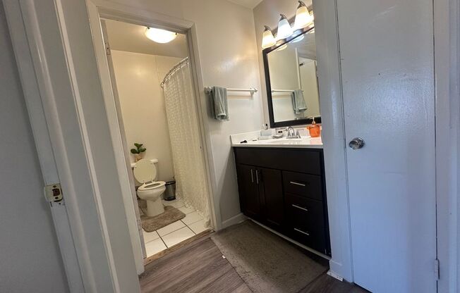 1 bed, 1 bath, $1,195, Unit 309