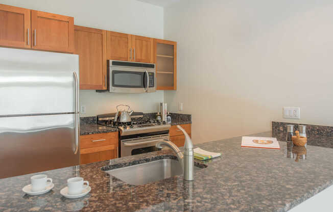 Asteria Kitchen with Stainless Steel Appliances