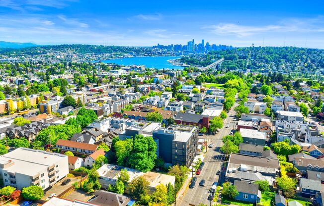 1 bed, 1 bath, 385 sqft, $1,795, Unit 303