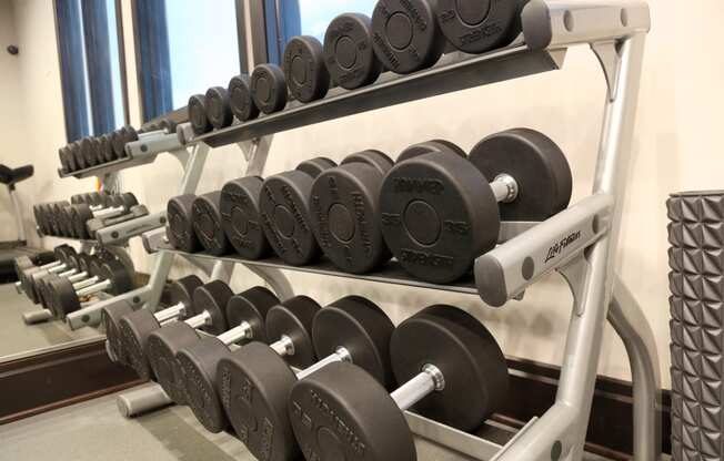 Fitness w/ free weights