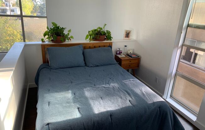 1 bed, 1 bath, 550 sqft, $2,495, Unit 312