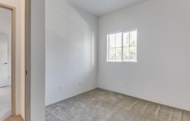 Welcome to Chelsey Lane Apartments