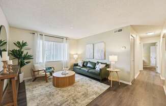A living room with a green couch, a wooden coffee table, and a rug.