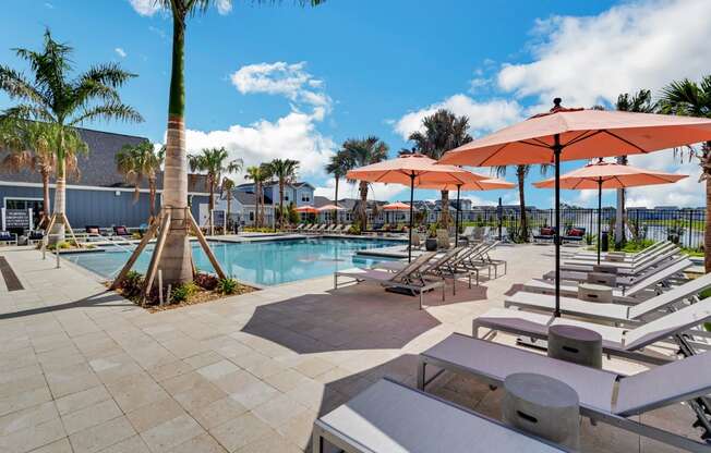 a swimming pool with chaise lounge chairs and umbrellas  at The Sophia, Venice, FL, 34275