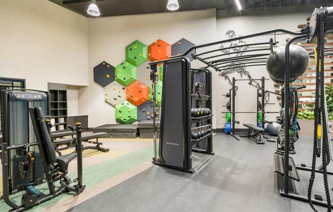 Push your limits in a fitness space designed for performance—complete with strength training stations, functional equipment, and a bold climbing wall.