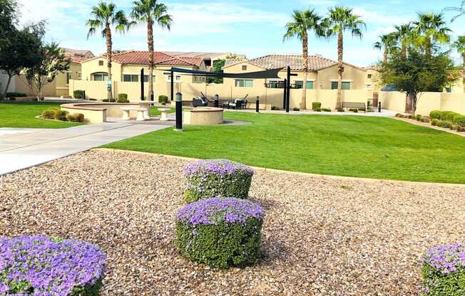 Park area at Chandler Heights, Chandler, AZ