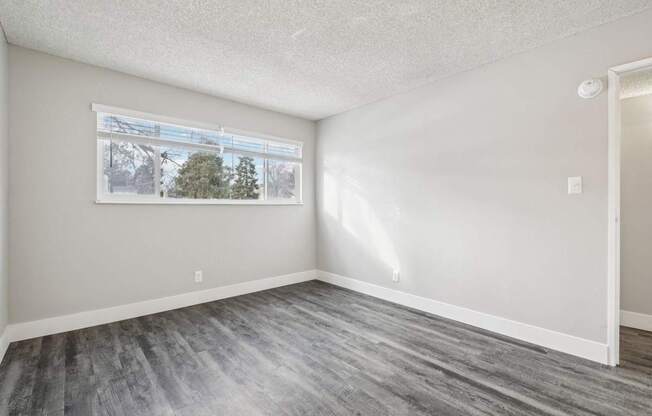 A room with a grey floor and a window showing a tree outside.