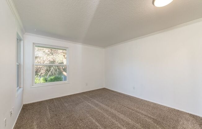 2 beds, 1 bath, $1,800