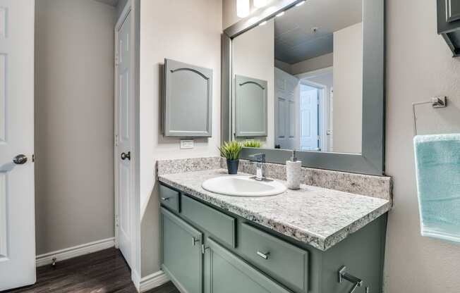 a bathroom with a sink and a large mirror