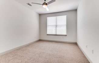 A room with a carpeted floor and a ceiling fan.