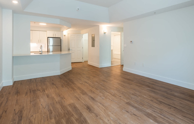 Living Room with Hard Surface Flooring