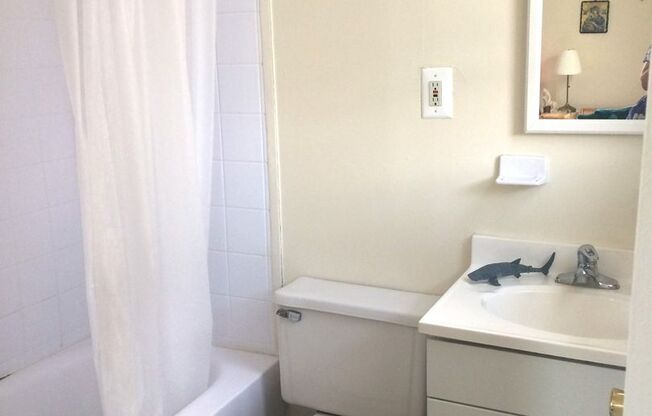 Studio, 1 bath, 260 sqft, $950, Unit C-1