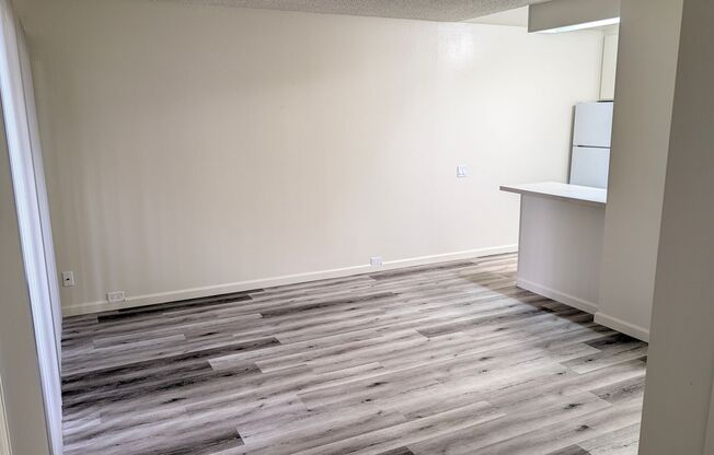 1 bed, 1 bath, 531 sqft, $1,500, Unit 161124