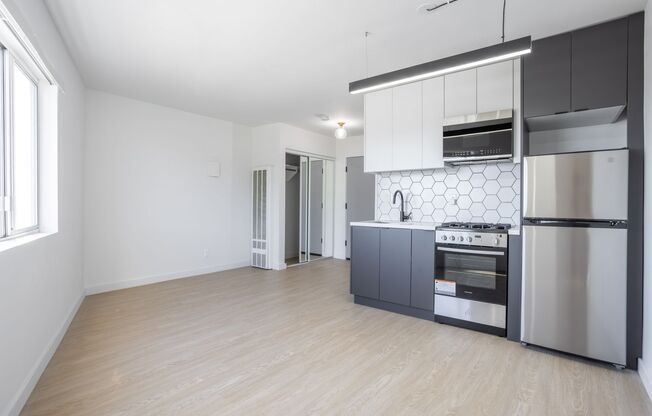 Studio, 1 bath, 263 sqft, $1,399, Unit 226