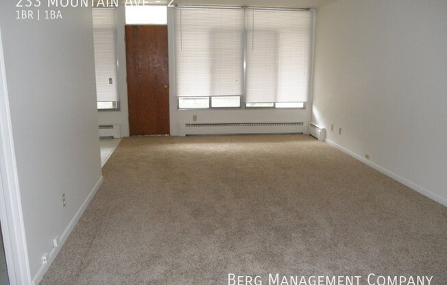 233 MTN AVE