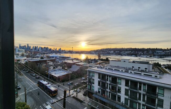 Studio, 1 bath, 300 sqft, $1,495, Unit 802