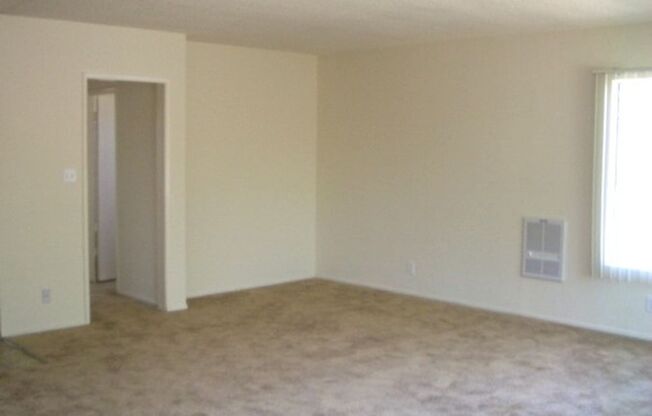 Memorial Apartments- Super Clean 1 Bedroom 1 Bath Apartment in Memorial Heights