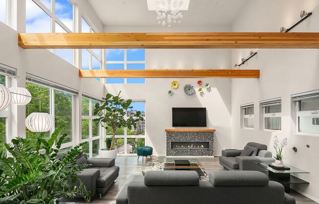 Studio, 1 bath, 186 sqft, $1,295, Unit 212