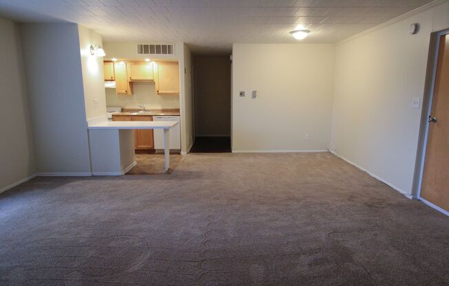 Studio, 1 bath, 520 sqft, $850, Unit 107