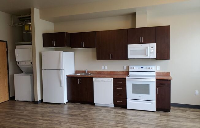 Studio, 1 bath, 519 sqft, $1,125, Unit 2-113W