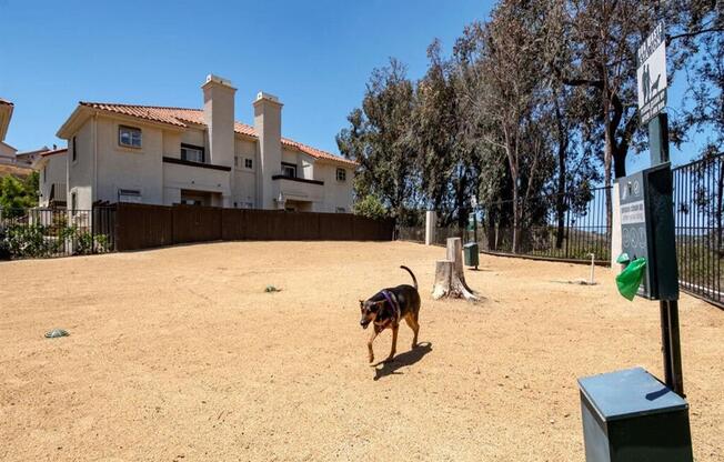 a dog running in a yard in front of a house