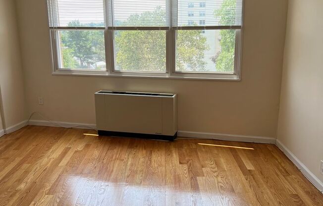 1 bed, 1 bath, 800 sqft, $1,775, Unit 5Y