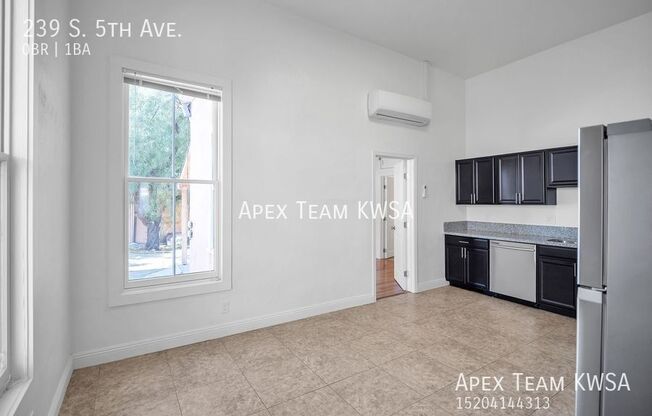 239 S 5 AVE