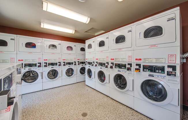A row of washing machines in a public laundromat.