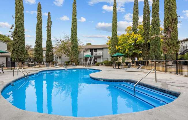 A swimming pool surrounded by tall trees and a fence.