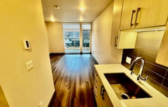 Studio, 1 bath, 316 sqft, $1,295, Unit 205