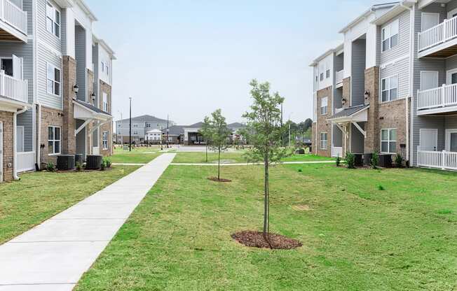 a grassy area with trees in front of an apartment complex