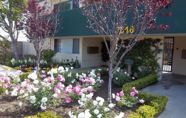 Classic Apts - Stella-Mae, LLC