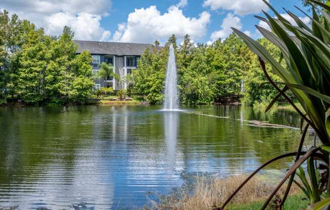 a fountain in a pond at Verano apartments