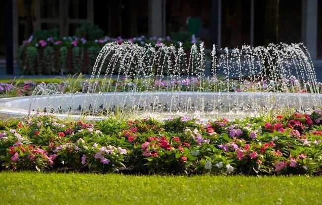 Studio, 1 bath, 500 sqft, $2,500, Unit 1212