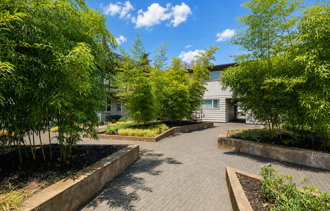 1 bed, 1 bath, 560 sqft, $1,525, Unit 62-12