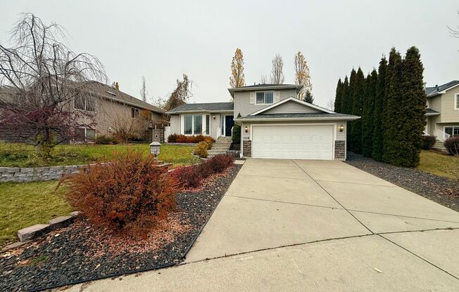 Stunning 3 Bed 2 Bath Eagle Ridge Home w/ Large Fenced Backyard and Raised Deck!