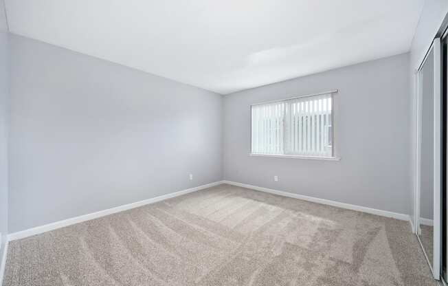 The Canopy | Bedroom